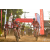 Team 107 / Raid Amazones Sri Lanka 2019 - J3 VTT