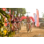 Team 107 / Raid Amazones Sri Lanka 2019 - J3 VTT
