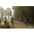 Team 06 / Raid Amazones Sri Lanka 2019 - J3 VTT