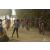 Team 06 / Raid Amazones Sri Lanka 2019 - J3 VTT