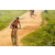 Team 06 / Raid Amazones Sri Lanka 2019 - J3 VTT