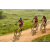 Team 120 / Raid Amazones Sri Lanka 2019 - J3 VTT