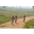 Team 135 / Raid Amazones Sri Lanka 2019 - J3 VTT