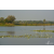 Raid Amazones Sri Lanka 2019 - J3 VTT