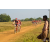 Team 29 / Raid Amazones Sri Lanka 2019 - J3 VTT