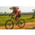 Team 26 / Raid Amazones Sri Lanka 2019 - J3 VTT