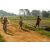 Team 105 / Raid Amazones Sri Lanka 2019 - J3 VTT