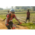Team 105 / Raid Amazones Sri Lanka 2019 - J3 VTT