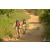 Team 33 / Raid Amazones Sri Lanka 2019 - J3 VTT