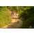 Raid Amazones Sri Lanka 2019 - J3 VTT