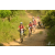 Team 28 / Raid Amazones Sri Lanka 2019 - J3 VTT