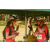 Team 28 / Raid Amazones Sri Lanka 2019 - J3 VTT