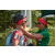 Team 120 / Raid Amazones Sri Lanka 2019 - J3 VTT