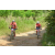 Team 26 / Raid Amazones Sri Lanka 2019 - J3 VTT