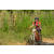 Team 105 / Raid Amazones Sri Lanka 2019 - J3 VTT