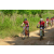 Team 34 / Raid Amazones Sri Lanka 2019 - J3 VTT