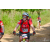 Team 34 / Raid Amazones Sri Lanka 2019 - J3 VTT