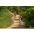 Team 101 / Raid Amazones Sri Lanka 2019 - J3 VTT