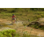 Team 101 / Raid Amazones Sri Lanka 2019 - J3 VTT