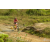 Team 101 / Raid Amazones Sri Lanka 2019 - J3 VTT