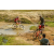 Team 101 / Raid Amazones Sri Lanka 2019 - J3 VTT