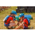 Team 08 / Raid Amazones Sri Lanka 2019 - J3 VTT