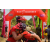Team 15 / Raid Amazones Sri Lanka 2019 - J3 VTT