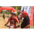 Team 26 / Raid Amazones Sri Lanka 2019 - J3 VTT