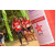 Team 24 / Raid Amazones Sri Lanka 2019 - J3 VTT
