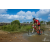 Team 44 / Raid Amazones Sri Lanka 2019 - J3 VTT
