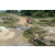 Team 36 / Raid Amazones Sri Lanka 2019 - J3 VTT