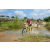 Team 36 / Raid Amazones Sri Lanka 2019 - J3 VTT