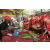 Raid Amazones Sri Lanka 2019 - J4 The Game