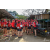 Raid Amazones Sri Lanka 2019 - J4 The Game