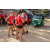 Raid Amazones Sri Lanka 2019 - J4 The Game