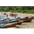 Raid Amazones Sri Lanka 2019 - J4 The Game