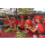 Raid Amazones Sri Lanka 2019 - J4 The Game