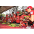 Raid Amazones Sri Lanka 2019 - J4 The Game