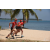 Raid Amazones Sri Lanka 2019 - J4 The Game
