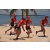 Raid Amazones Sri Lanka 2019 - J4 The Game