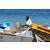 Raid Amazones Sri Lanka 2019 - J4 The Game