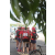 Raid Amazones Sri Lanka 2019 - J4 The Game