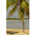 Raid Amazones Sri Lanka 2019 - J4 The Game