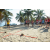 Raid Amazones Sri Lanka 2019 - J4 The Game