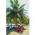 Raid Amazones Sri Lanka 2019 - J4 The Game