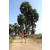 Team 34 / Raid Amazones Sri Lanka 2019 - J5 Bike and Run