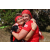 Team 26 / Raid Amazones Sri Lanka 2019 - J5 Bike and Run