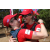 Team 33 / Raid Amazones Sri Lanka 2019 - J5 Bike and Run