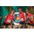 Team 120 / Raid Amazones Sri Lanka 2019 - J5 Bike and Run