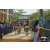 Team 33 / Raid Amazones Sri Lanka 2019 - J5 Bike and Run